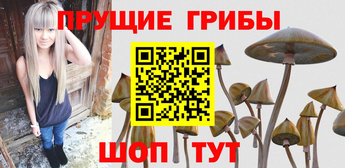 Галлюциногенные грибы MAGIC MUSHROOMS  Вход с VPN  Псилоцибиновые грибы MAGIC MUSHROOMS  Лениногорск 