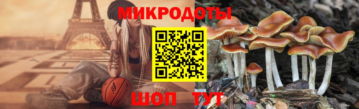 Псилоцибиновые грибы прущие грибы Лениногорск
